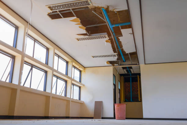 Best Water damage restoration near me  in New Pek, IN