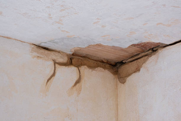  New Pek, IN Water damage restoration Pros