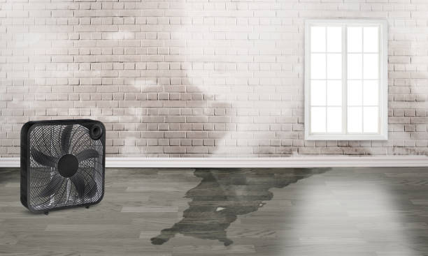 Best Emergency water damage restoration  in New Pek, IN