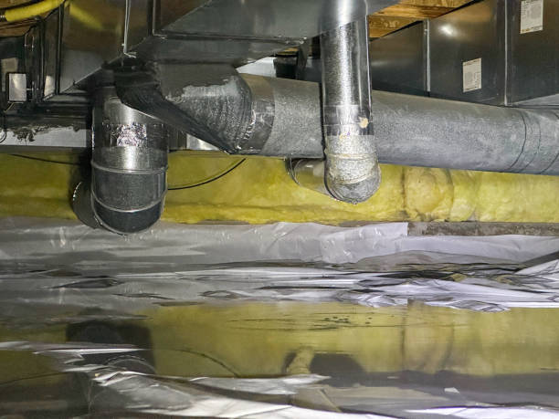 Best 24-hour water damage restoration  in New Pek, IN