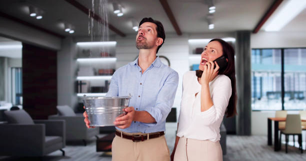 Best Professional water damage repair  in New Pek, IN
