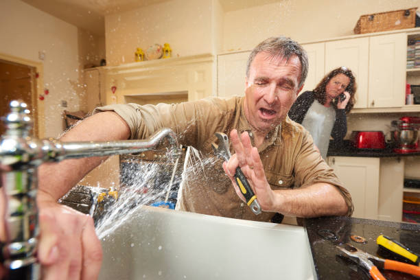 Best Water damage contractors near me  in New Pek, IN